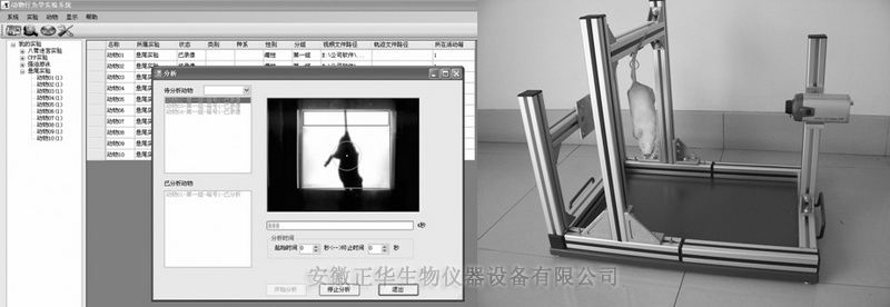 1565688265236846.jpg ZH-XWT型懸尾實(shí)驗(yàn)視頻分析系統(tǒng)0.jpg