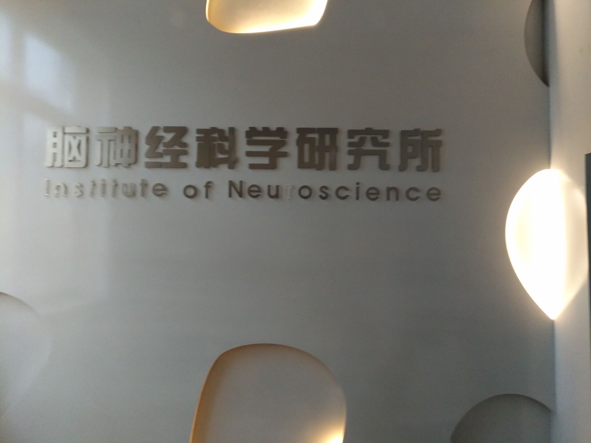 1568945875430318.jpg