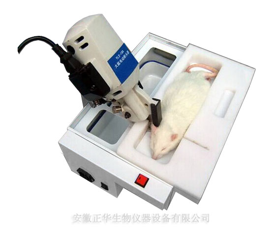 YLS-19A大鼠電動斷頭器-長.jpg