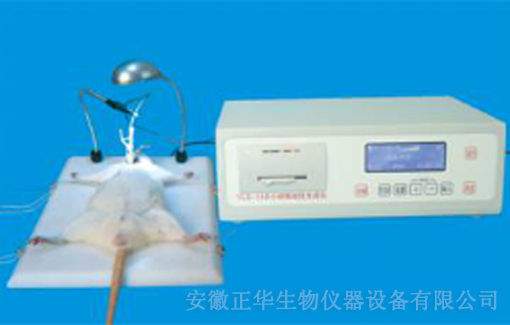 ZH-YLS-14B小動物血栓生成儀-水印.jpg
