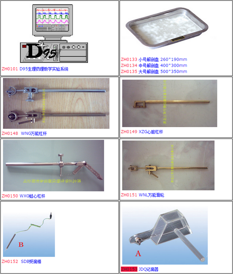 無標題.png
