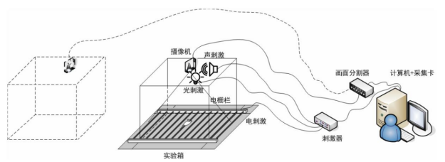 安徽正華動物實(shí)驗(yàn)儀器 安徽正華動物實(shí)驗(yàn)儀器