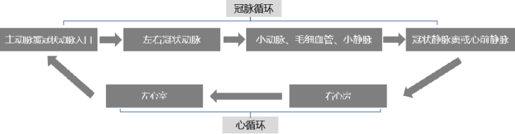 安徽正華動物實驗儀器