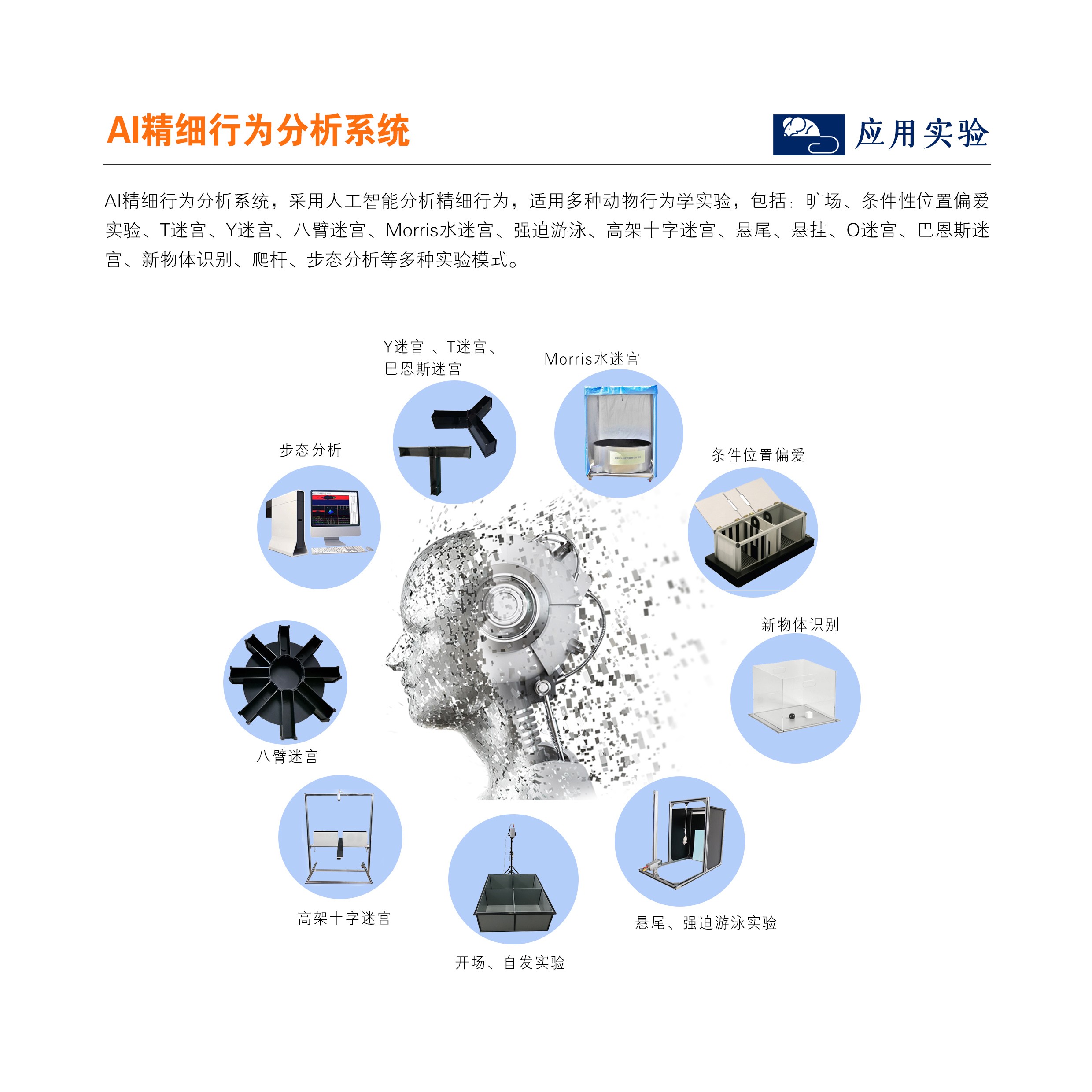安徽正華動(dòng)物實(shí)驗(yàn)儀器