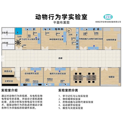 ZH-SBS型動(dòng)物行為實(shí)驗(yàn)站 - 行為學(xué)實(shí)驗(yàn)室整體解決方案