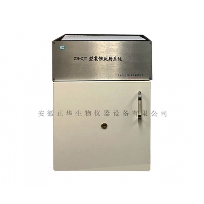 ZH-ZJT型震驚反射系統