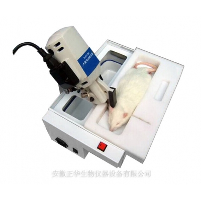 YLS-19A大鼠電動斷頭器
