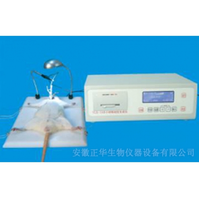 ZH-YLS-14B小動物血栓生成儀