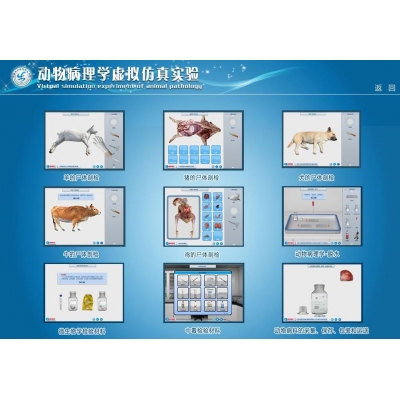 動物病理學虛擬仿真實驗系統
