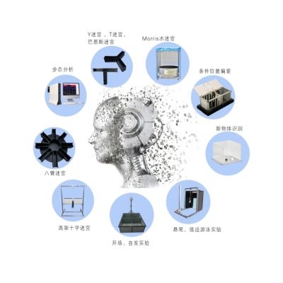 ZH-AI3000 動(dòng)物精細(xì)行為分析系統(tǒng)